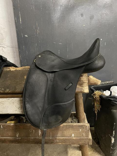 Selle dressage wintec werth