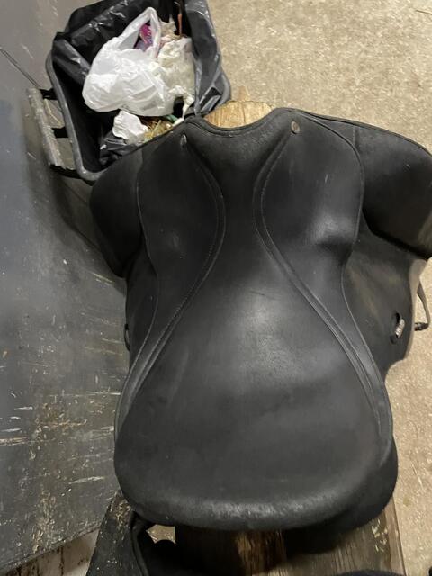 Selle dressage wintec werth