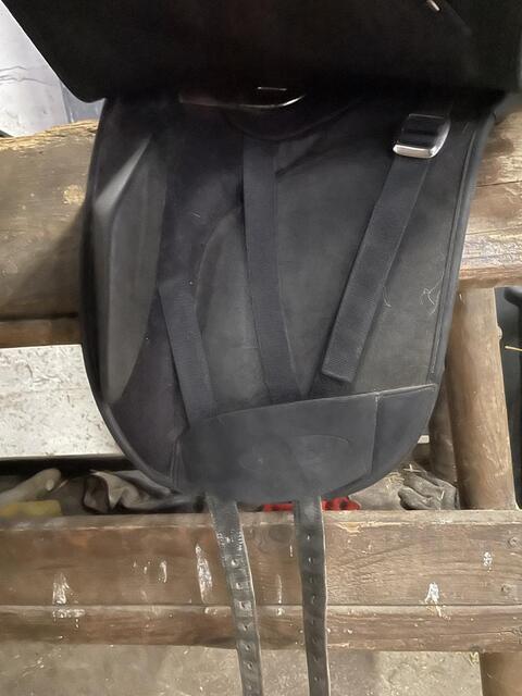 Selle dressage wintec werth