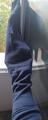 Veste gpa édition french equestrian tour