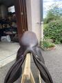 Selle butet