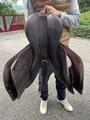 Selle butet