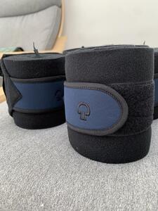 Bandes Cavalleria Toscana