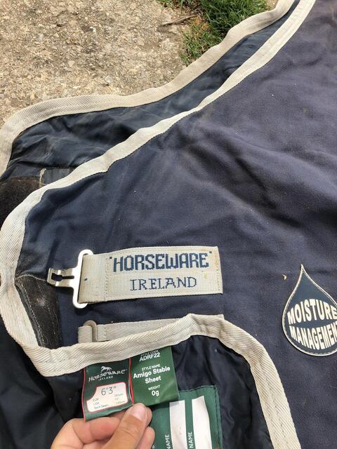 Chemise Amigo horseware