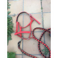 Licol + longe