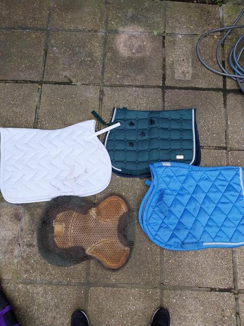 Tapis de selle bleu