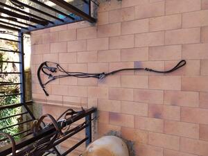 Gogue noir taille cheval