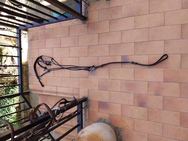 Gogue noir taille cheval
