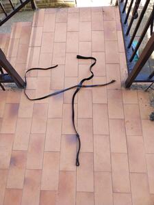 Martingale fixe