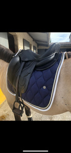 Tapis dressage Azhary