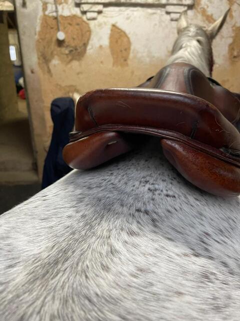 Selle