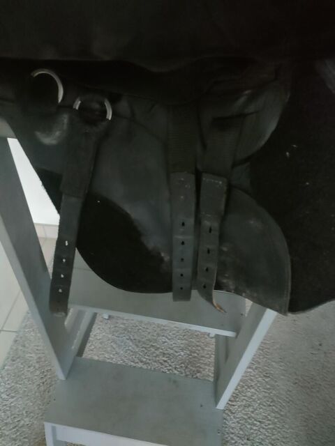 Selle Kent and master 17,5