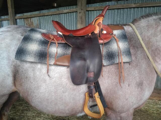 Selle western de randonnée et sacoches