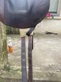 Selle forestier de trec, randonnée
