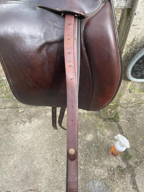 Selle forestier de trec, randonnée