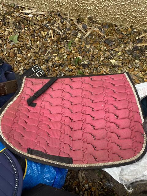 Tapis