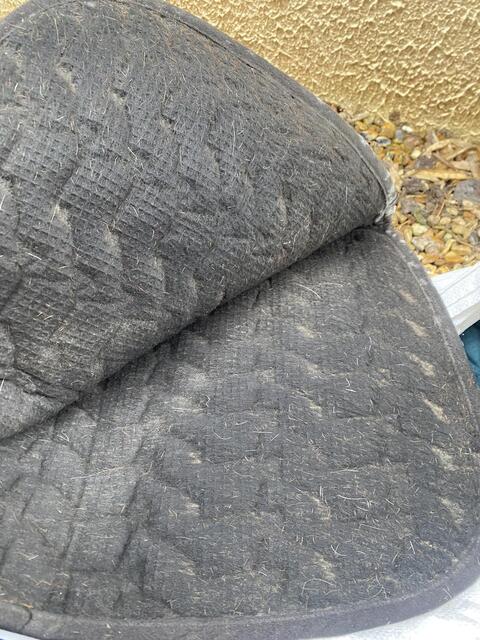 Tapis