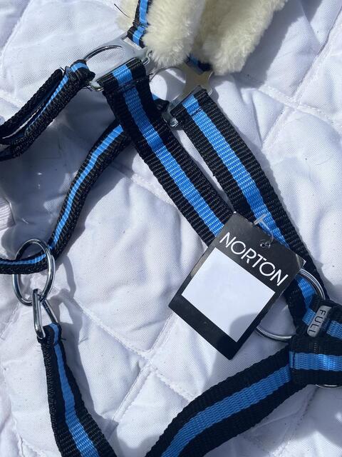 Licol bleu et noir avec moumoute