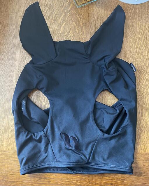 Masque titane