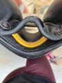 Selle Eric Thomas mixte fitter noir 18’