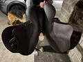 selle CWD 2 GS MADEMOISELLE