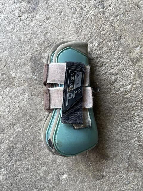 protections