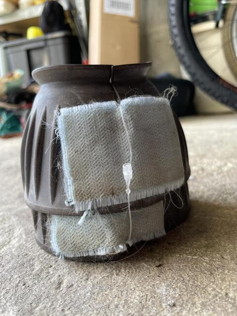 cloche