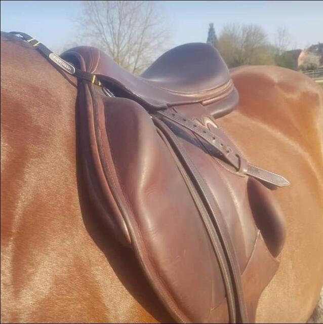 Selle Rebelle Sellier