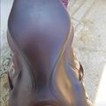Selle Rebelle Sellier
