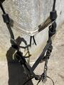 Hackamore