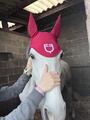 Bonnet EQUESTRO