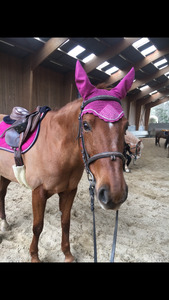 Tapis de selle LAMICELL rose avec bonnet et amortisseur FOUGANZA assorti
