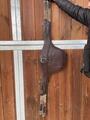 Bavette cwd