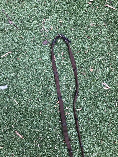 Rênes