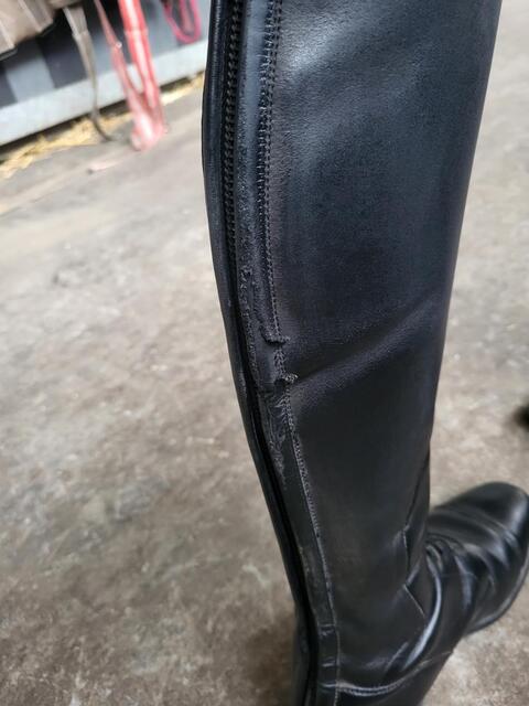 Bottes petrie