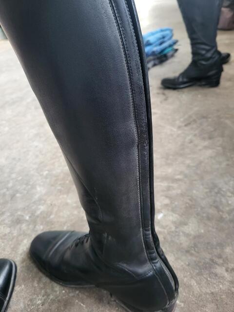 Bottes petrie