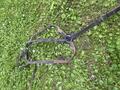 Collier de chasse + martingale