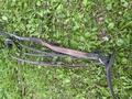 Collier de chasse + martingale
