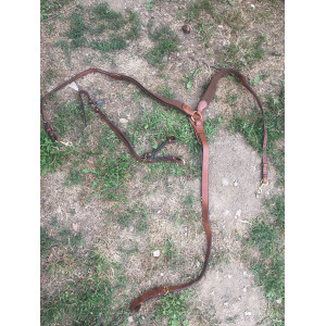 Martingale et collier de chasse Éric Thomas