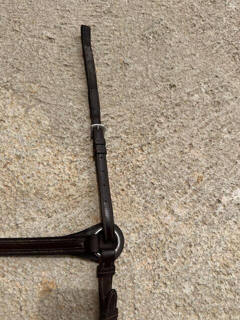 Collier de chasse GBS