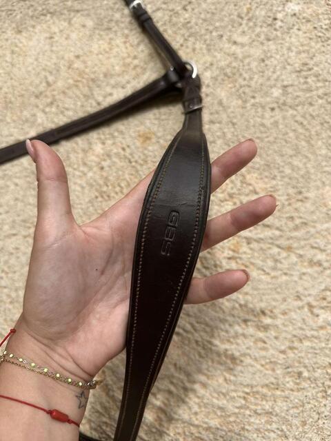 Collier de chasse GBS