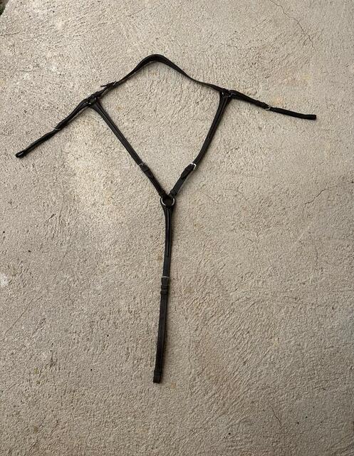 Collier de chasse GBS