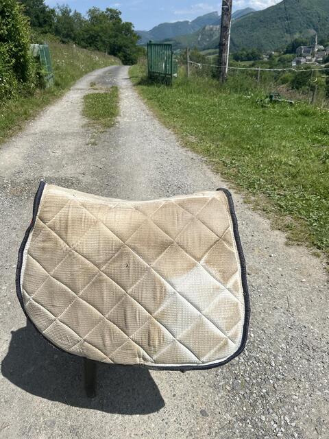 Tapis alexandra ledermann