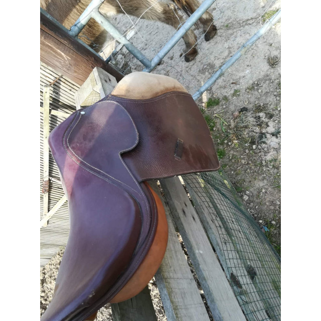 Selle Jorges canaves