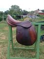 Selle forestier mixte