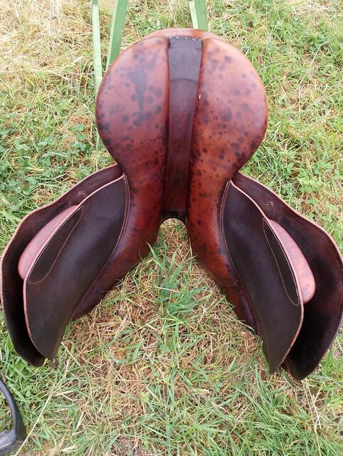 Selle forestier mixte