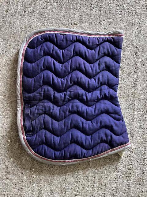 tapis