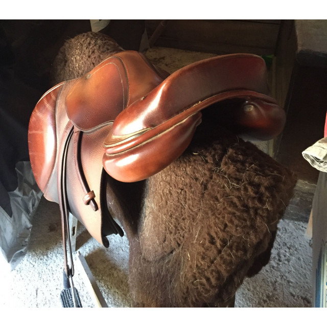Selle GBS