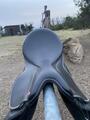 Selle cheval