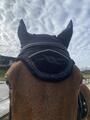 Ensemble bonnet et tapis